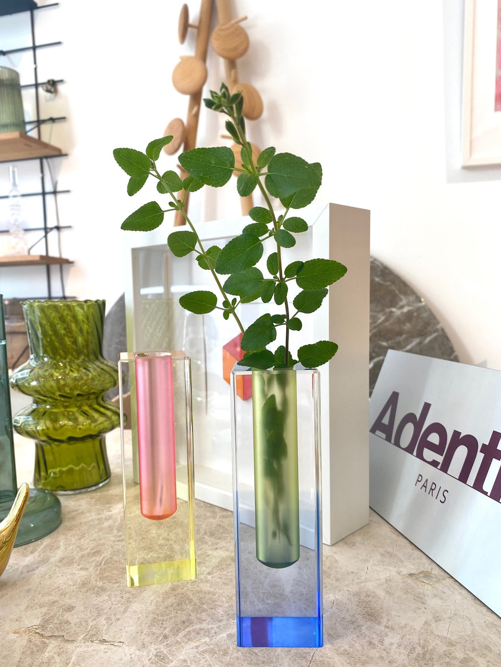 Soliflore Transparent Coloré | Design Épuré